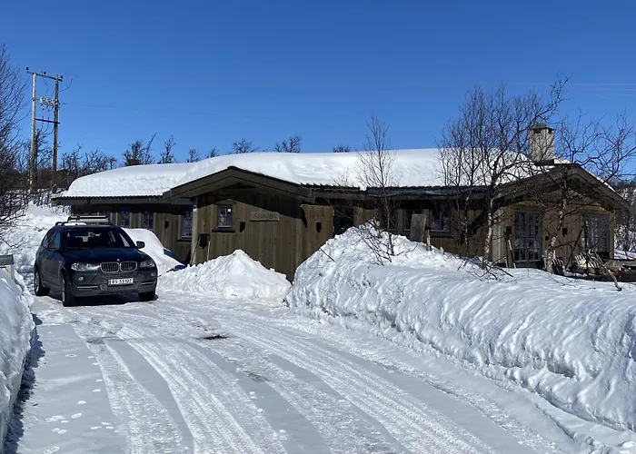 Сasa de vacaciones New Mountain - Geilo-kikut - Great Location Geilo