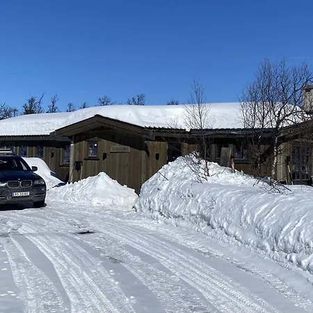 Semesterbostad New Mountain - Geilo-kikut - Great Location Geilo
