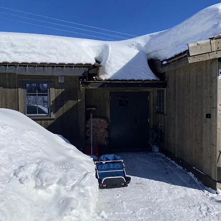 New Mountain - Geilo-kikut - Great Location