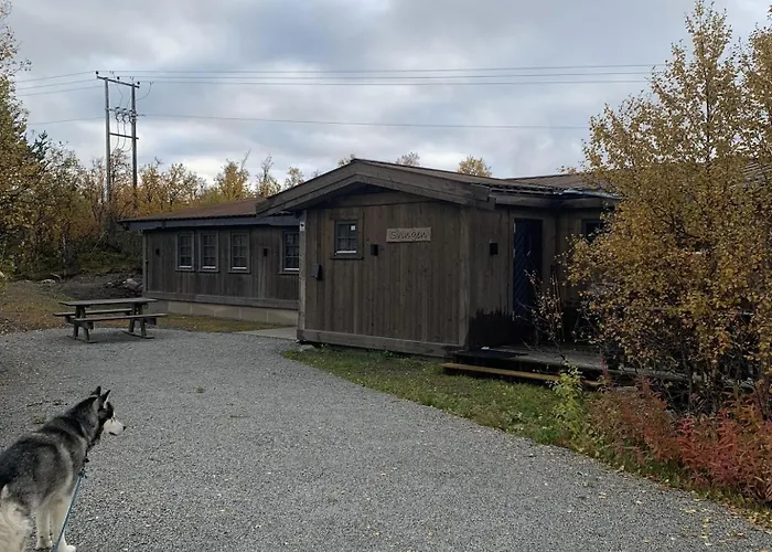 New Mountain - Geilo-kikut - Great Location *